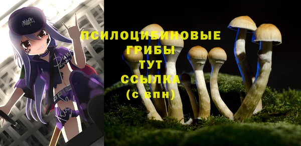 амф Белоозёрский